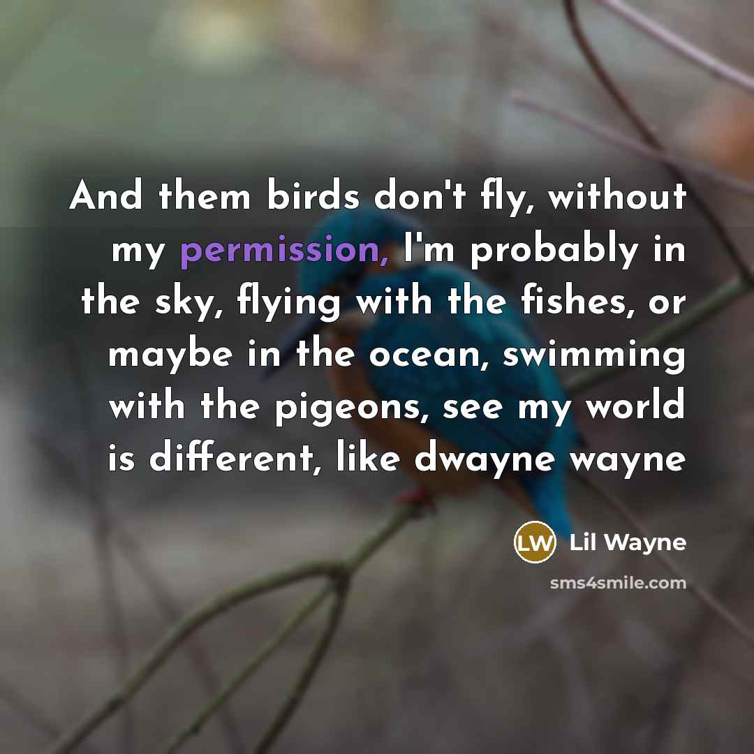 “And them birds don't fly, without my permission, I'm probably in the sky, flying with the fishes, or maybe in the ocean, swimming with the pigeons, see my world is different, like dwayne wayne” quote by Lil Wayne