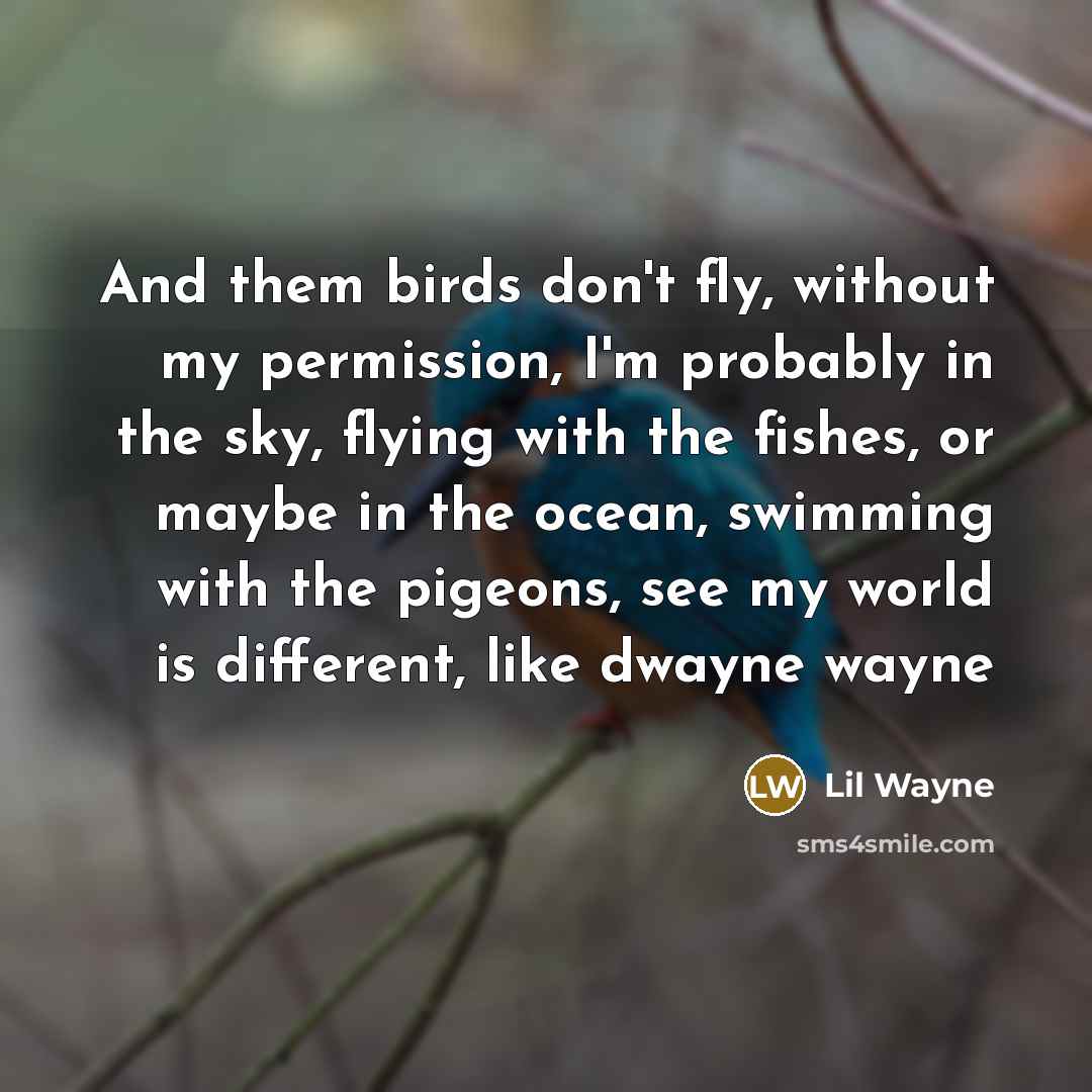 “And them birds don't fly, without my permission, I'm probably…” quote by Lil Wayne