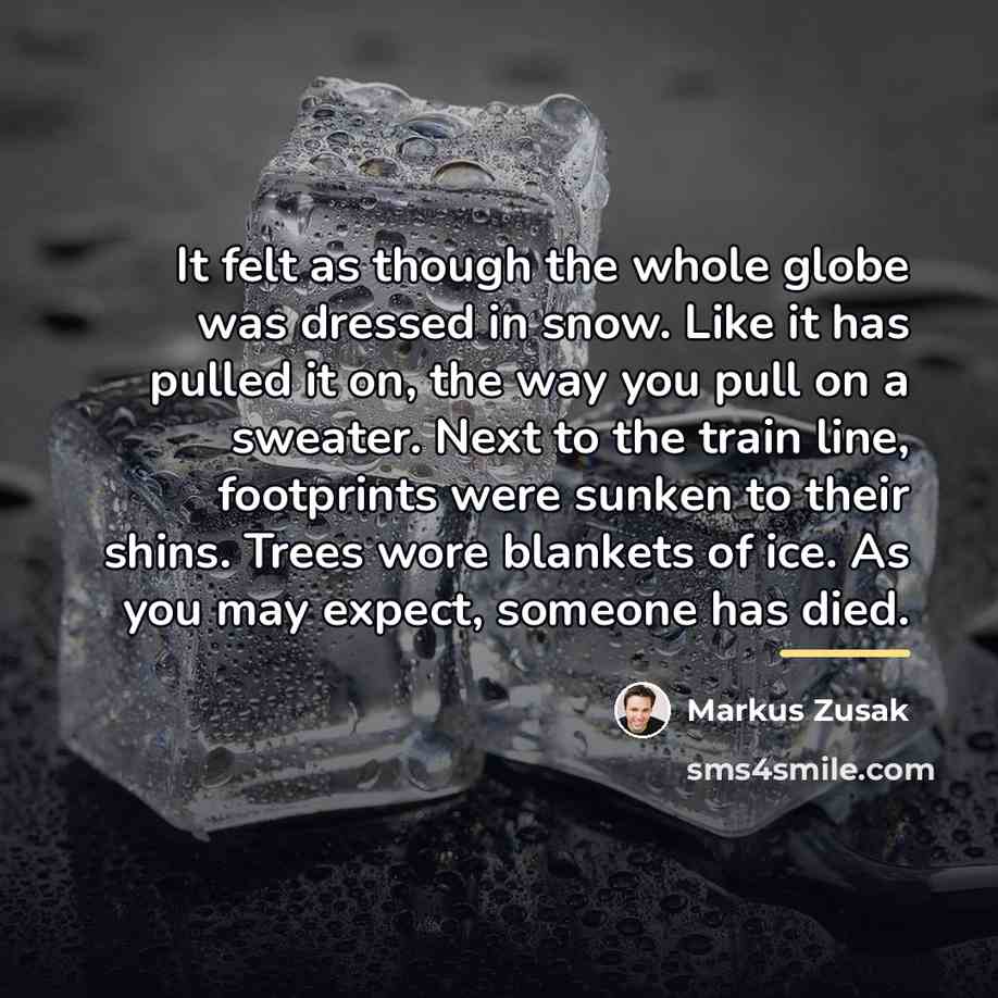 “It felt as though the whole globe was dressed in…” quote by Markus Zusak