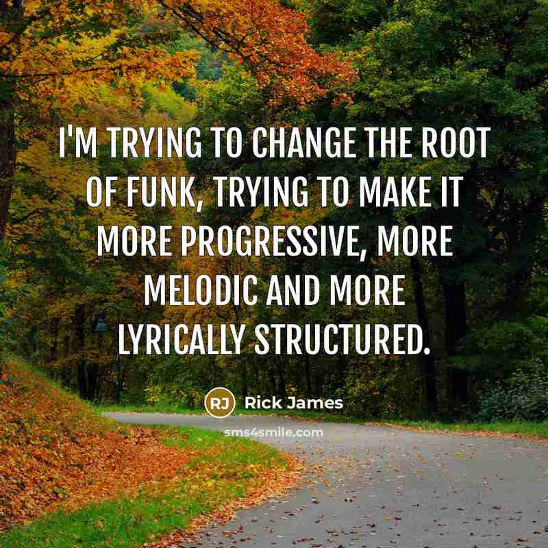 “I'm trying to change the root of funk, trying to…” quote by Rick James