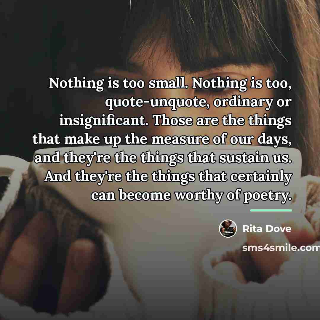 “Nothing is too small. Nothing is too, quote-unquote, ordinary or…” quote by Rita Dove