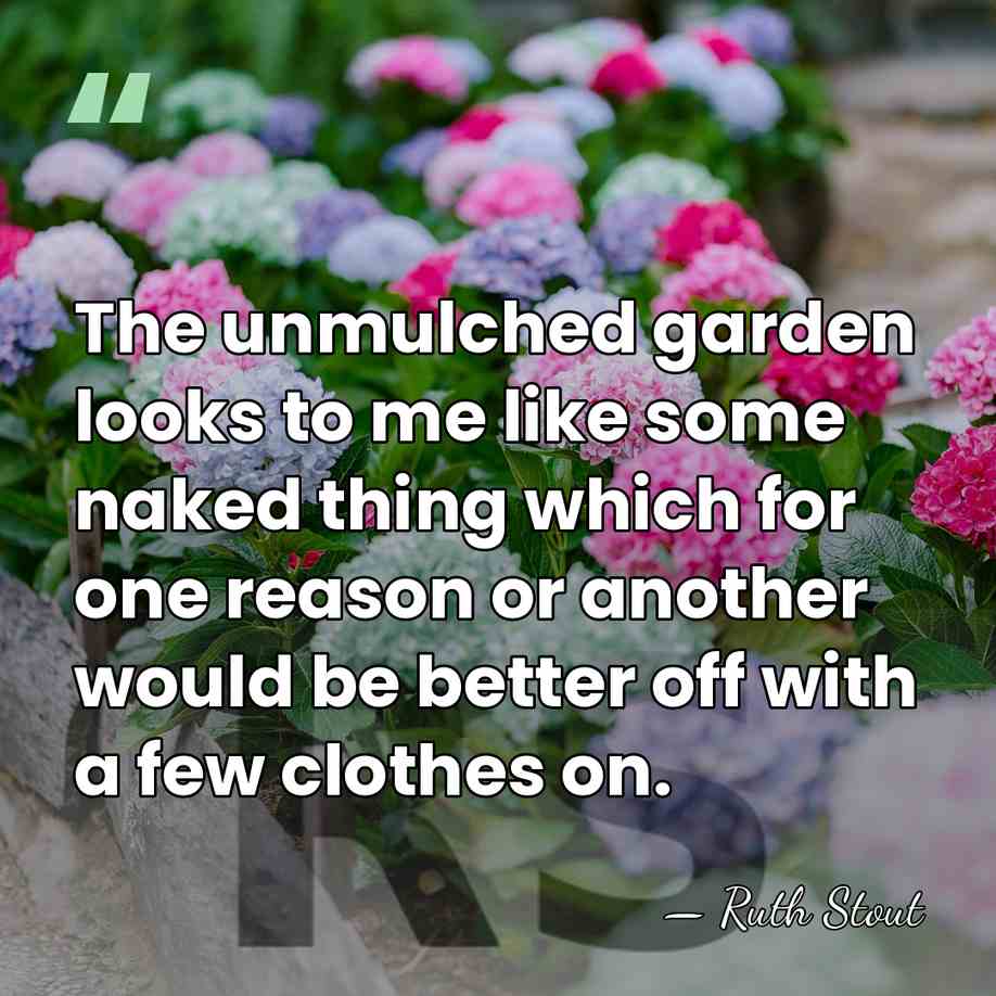 The unmulched garden looks to me like some naked thing which for&hellip; - Ruth Stout