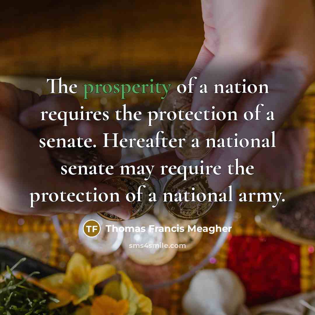 “The prosperity of a nation requires the protection of a…” quote by Thomas Francis Meagher