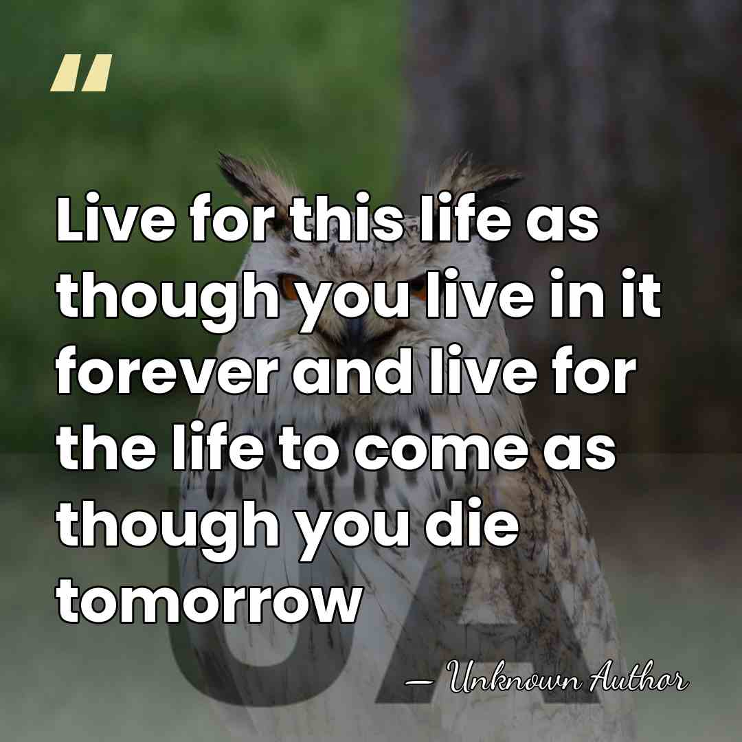Live for this life as though you live in it forever and&hellip; - Unknown Author