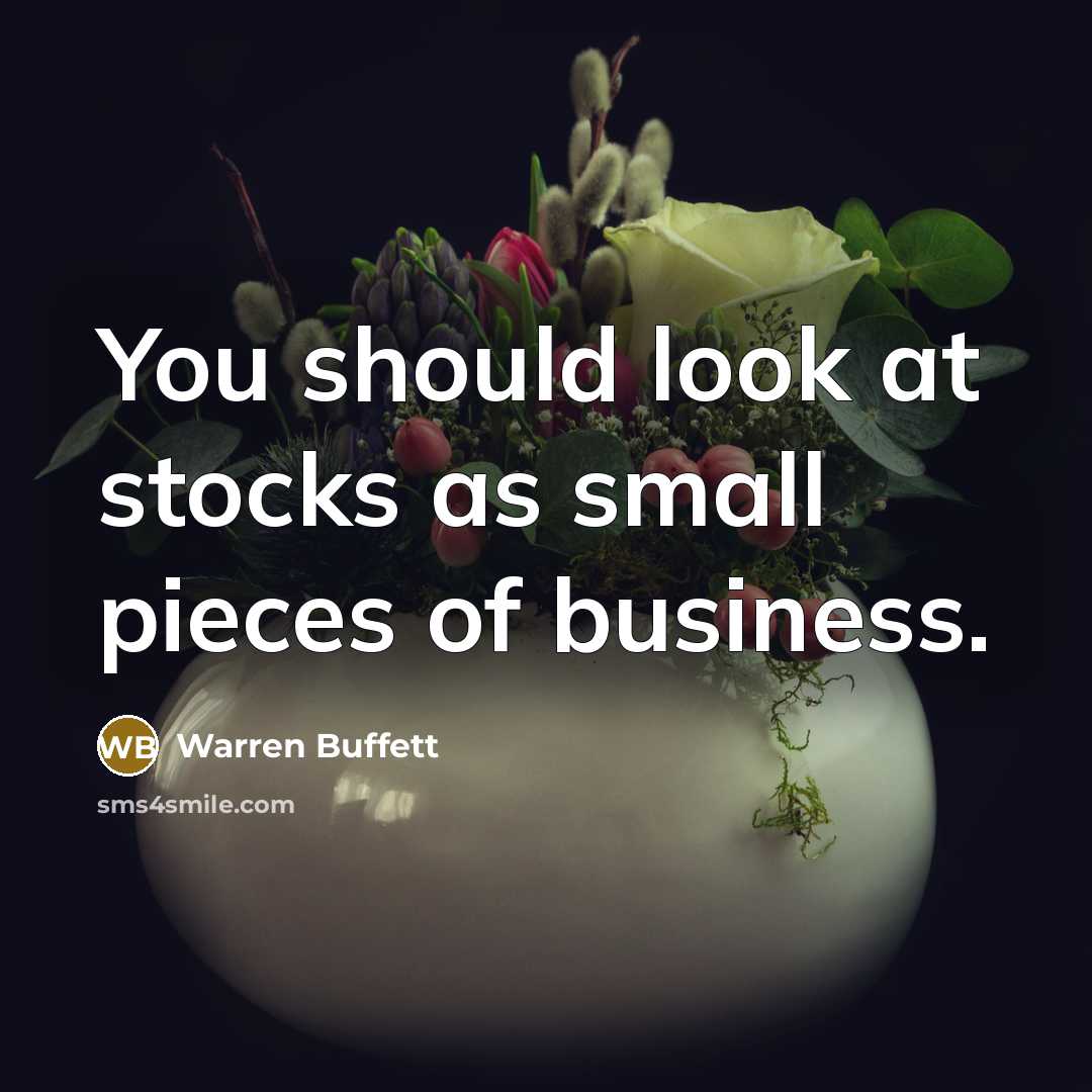 “You should look at stocks as small pieces of business.…” quote by Warren Buffett