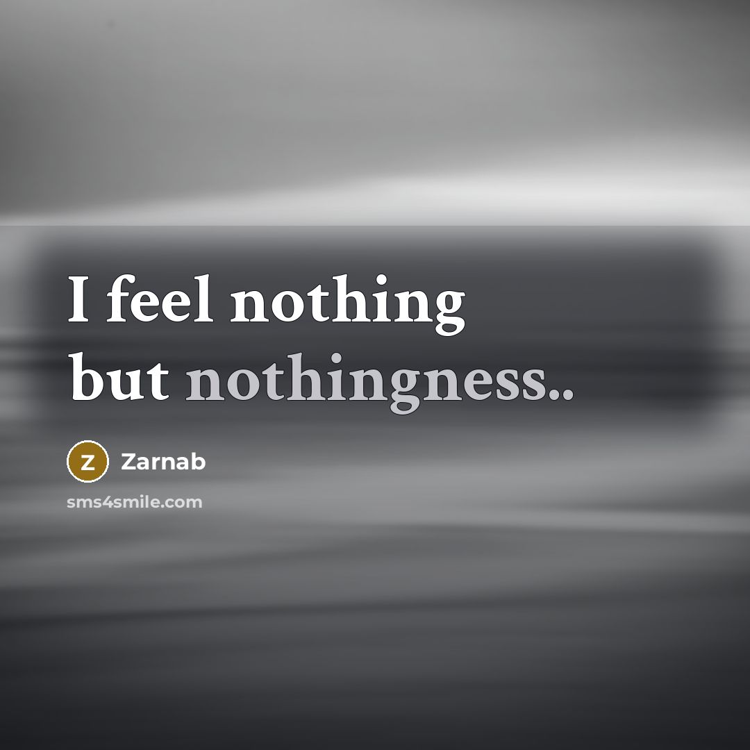 “I feel nothing but nothingness..…” quote by Zarnab