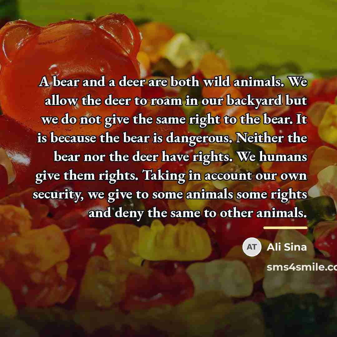“A bear and a deer are both wild animals. We…” quote by Ali Sina