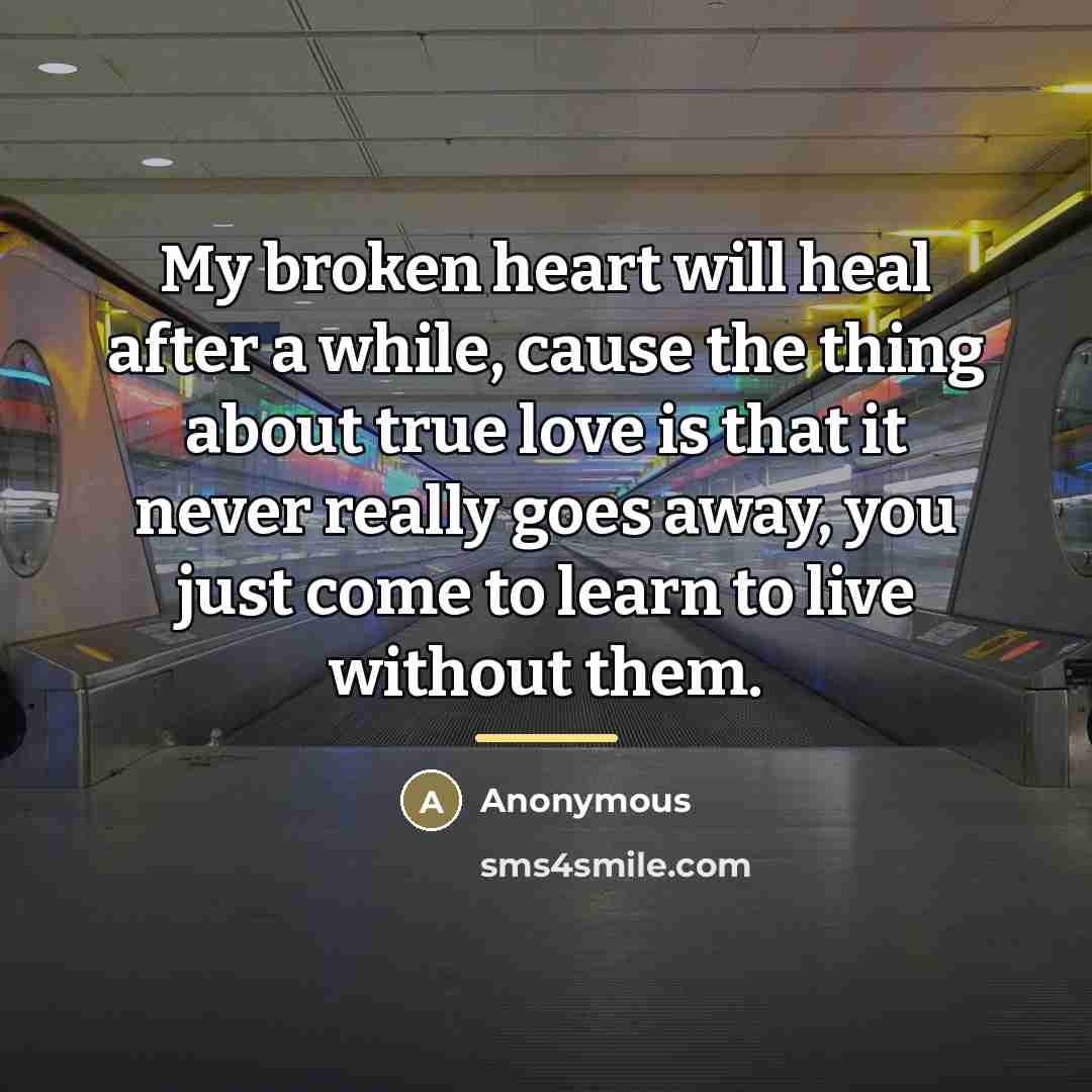 “My broken heart will heal after a while, cause the…” quote by Anonymous