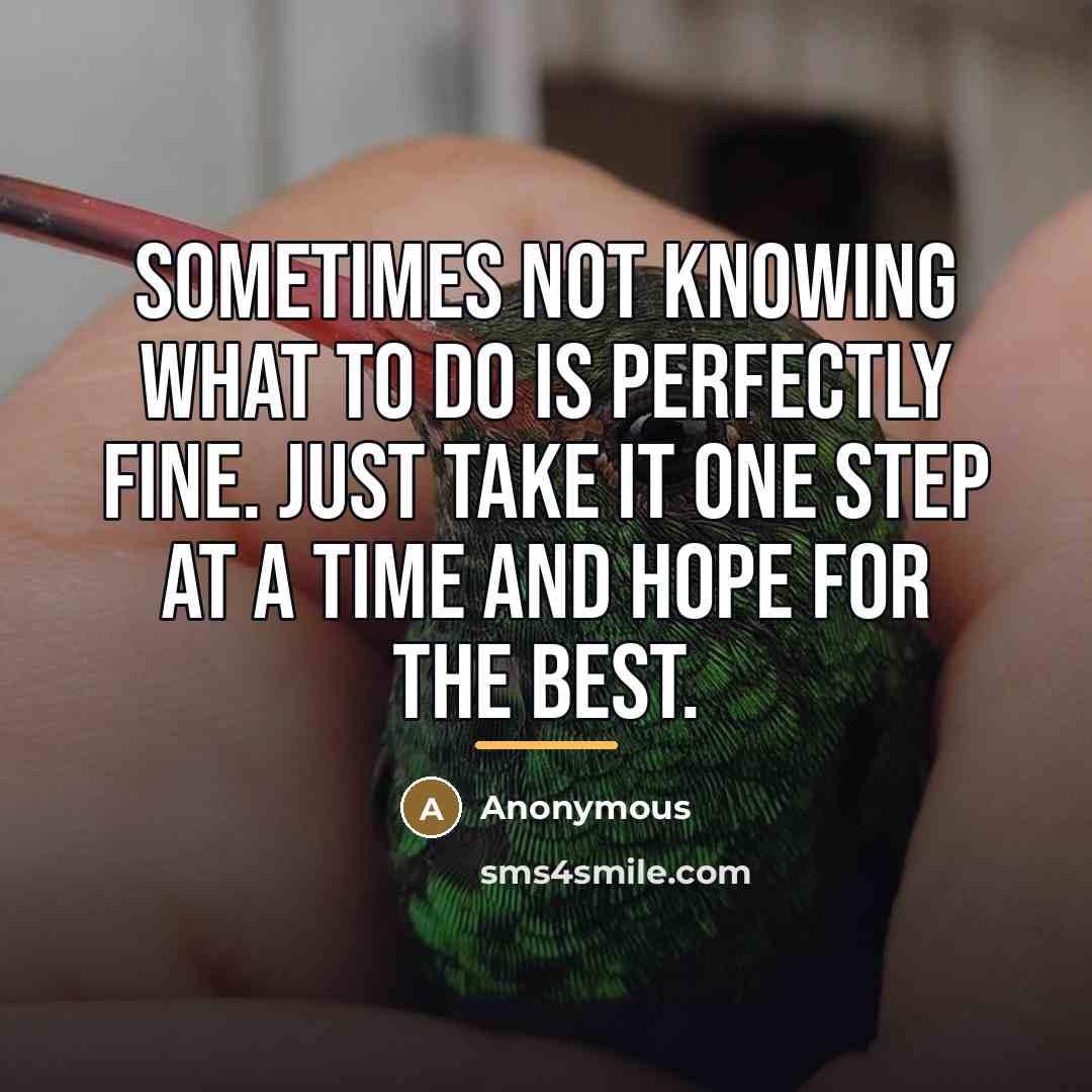 “Sometimes not knowing what to do is perfectly fine. Just…” quote by Anonymous