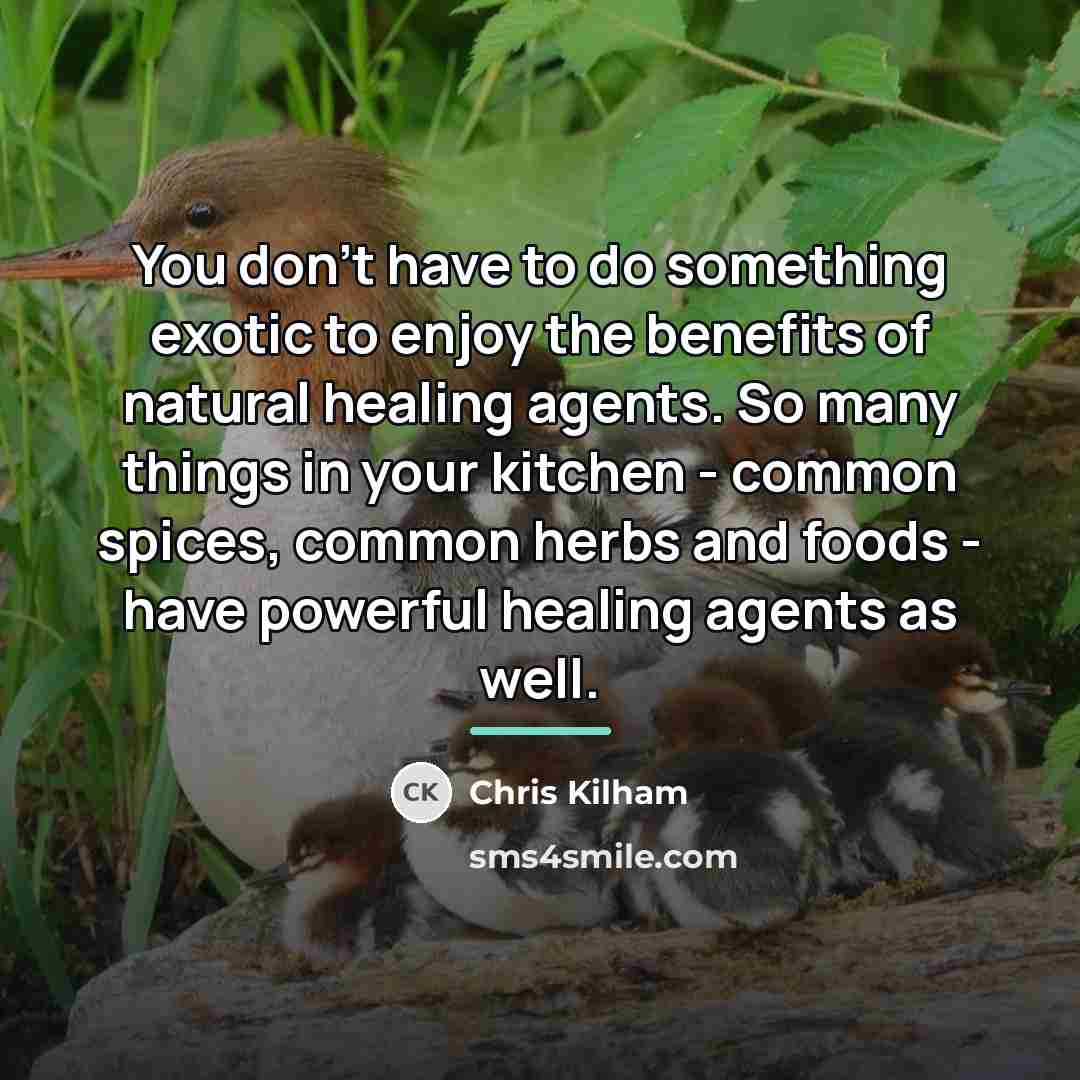 “You don't have to do something exotic to enjoy the…” quote by Chris Kilham