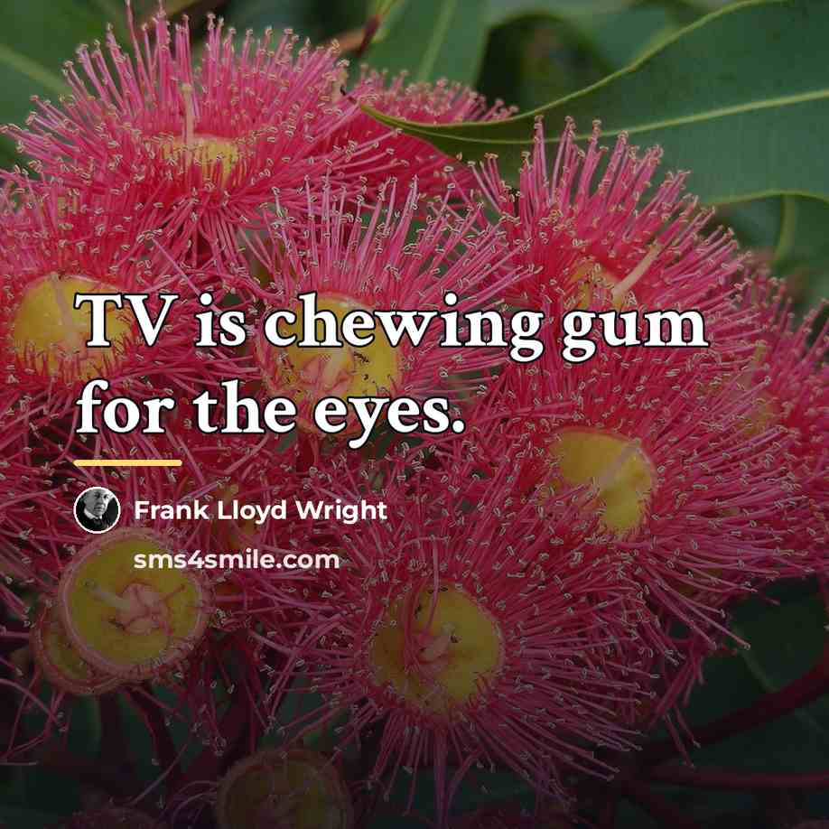 “TV is chewing gum for the eyes.…” quote by Frank Lloyd Wright