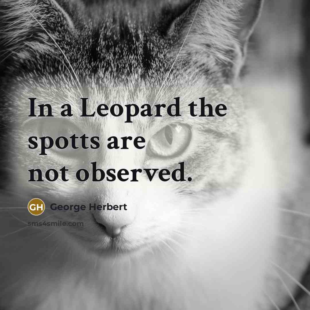 “In a Leopard the spotts are not observed.…” quote by George Herbert