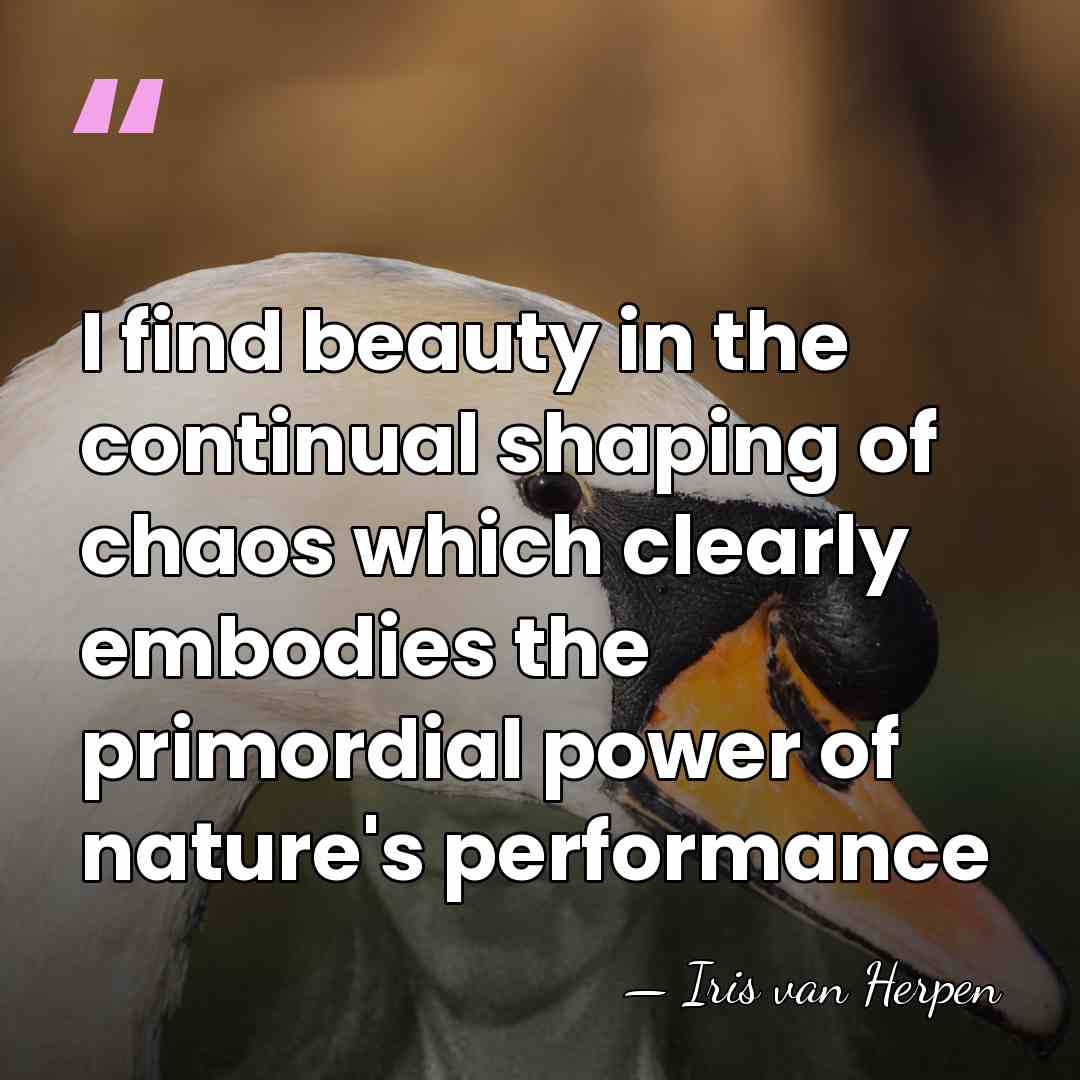 I find beauty in the continual shaping of chaos which clearly embodies&hellip; - Iris van Herpen