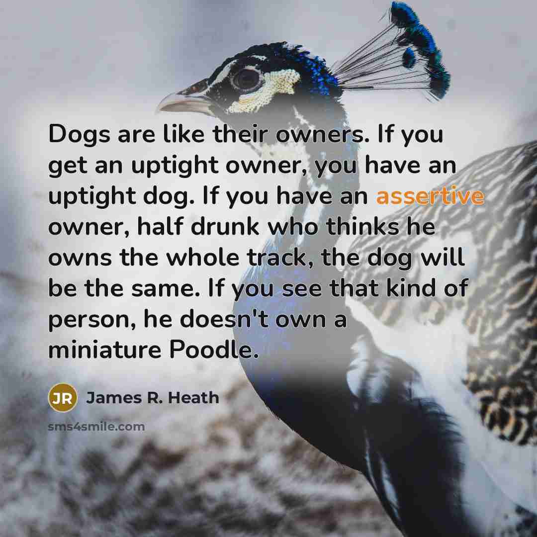 “Dogs are like their owners. If you get an uptight owner, you have an uptight dog. If you have an assertive owner, half drunk who thinks he owns the whole track, the dog will be the same. If you see that kind of person, he doesn't own a miniature Poodle.” quote by James R. Heath