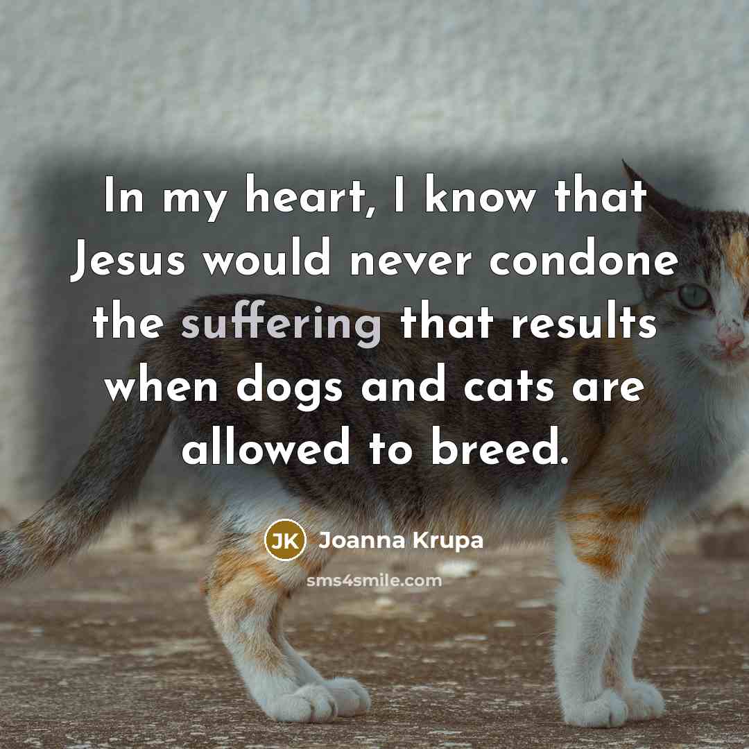 “In my heart, I know that Jesus would never condone…” quote by Joanna Krupa