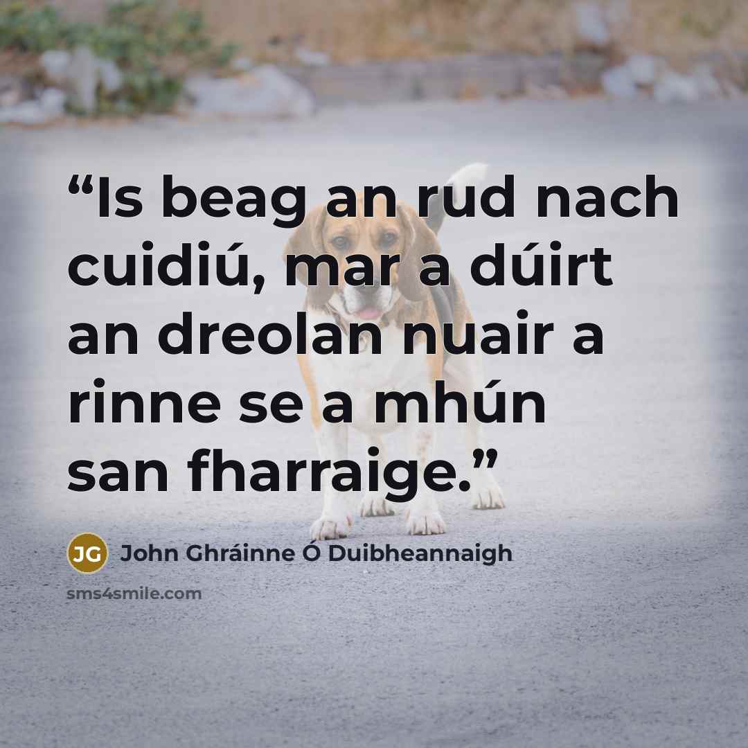 “Is beag an rud nach cuidiú, mar a dúirt an dreolan nuair a rinne se a mhún san fharraige.” quote by John Ghráinne Ó Duibheannaigh