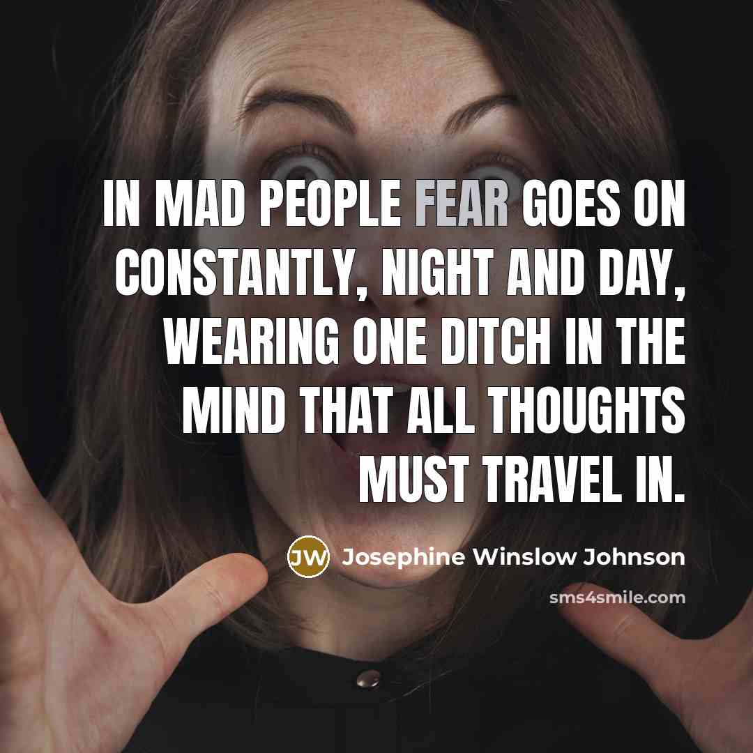 “in mad people fear goes on constantly, night and day,…” quote by Josephine Winslow Johnson