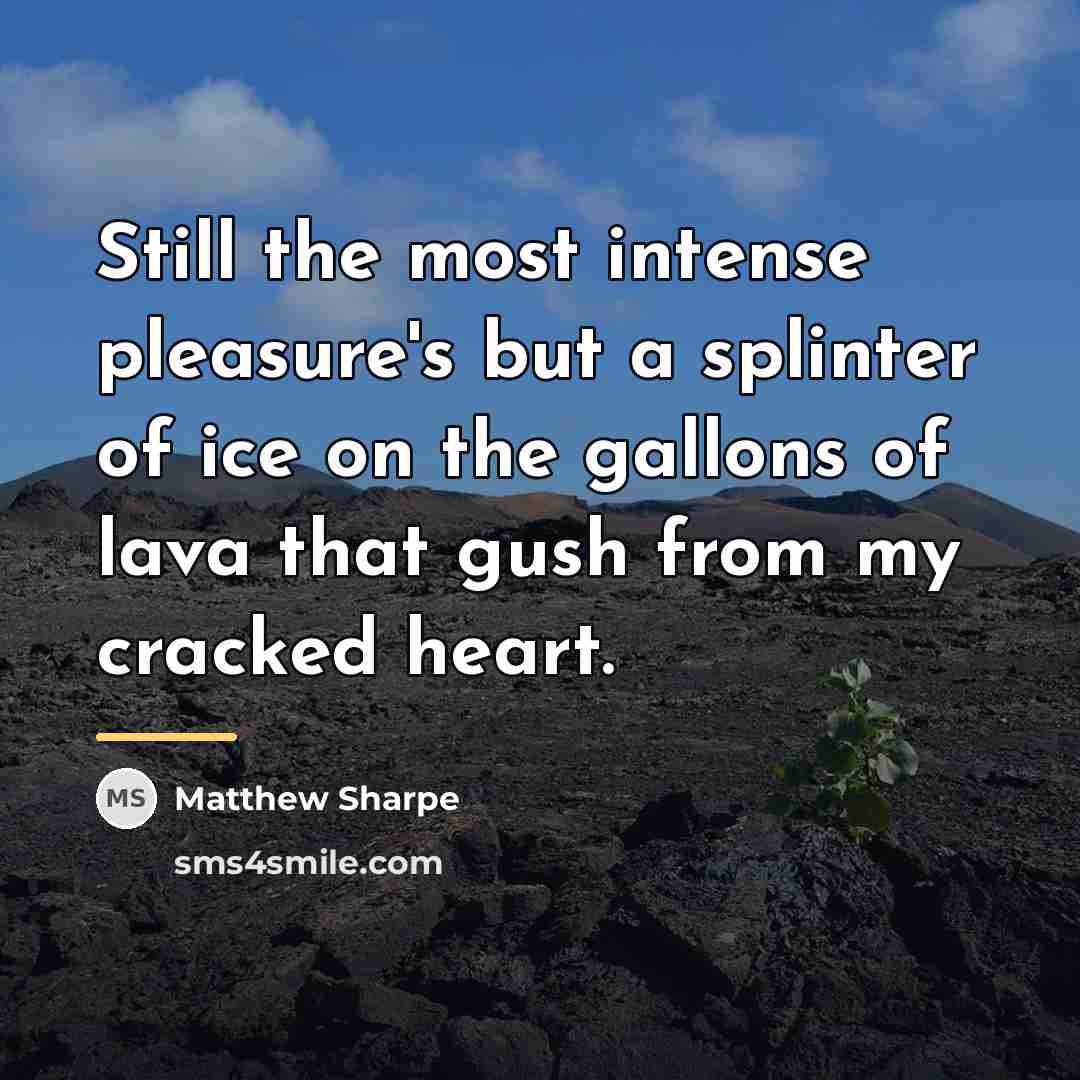 “Still the most intense pleasure's but a splinter of ice…” quote by Matthew Sharpe