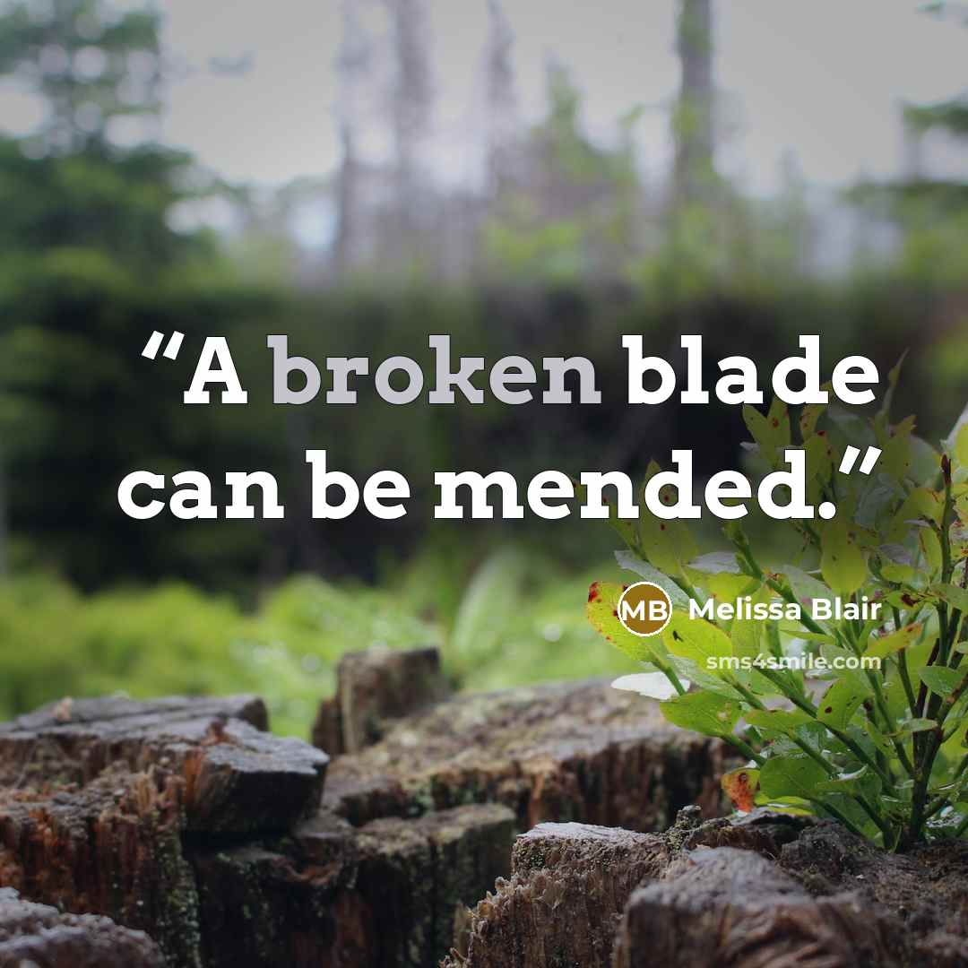 “A broken blade can be mended.” quote by Melissa Blair