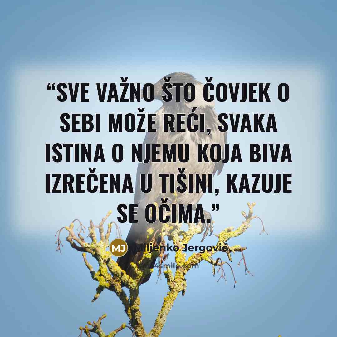 “Sve važno što čovjek o sebi može reći, svaka istina o njemu koja biva izrečena u tišini, kazuje se očima.” quote by Miljenko Jergović