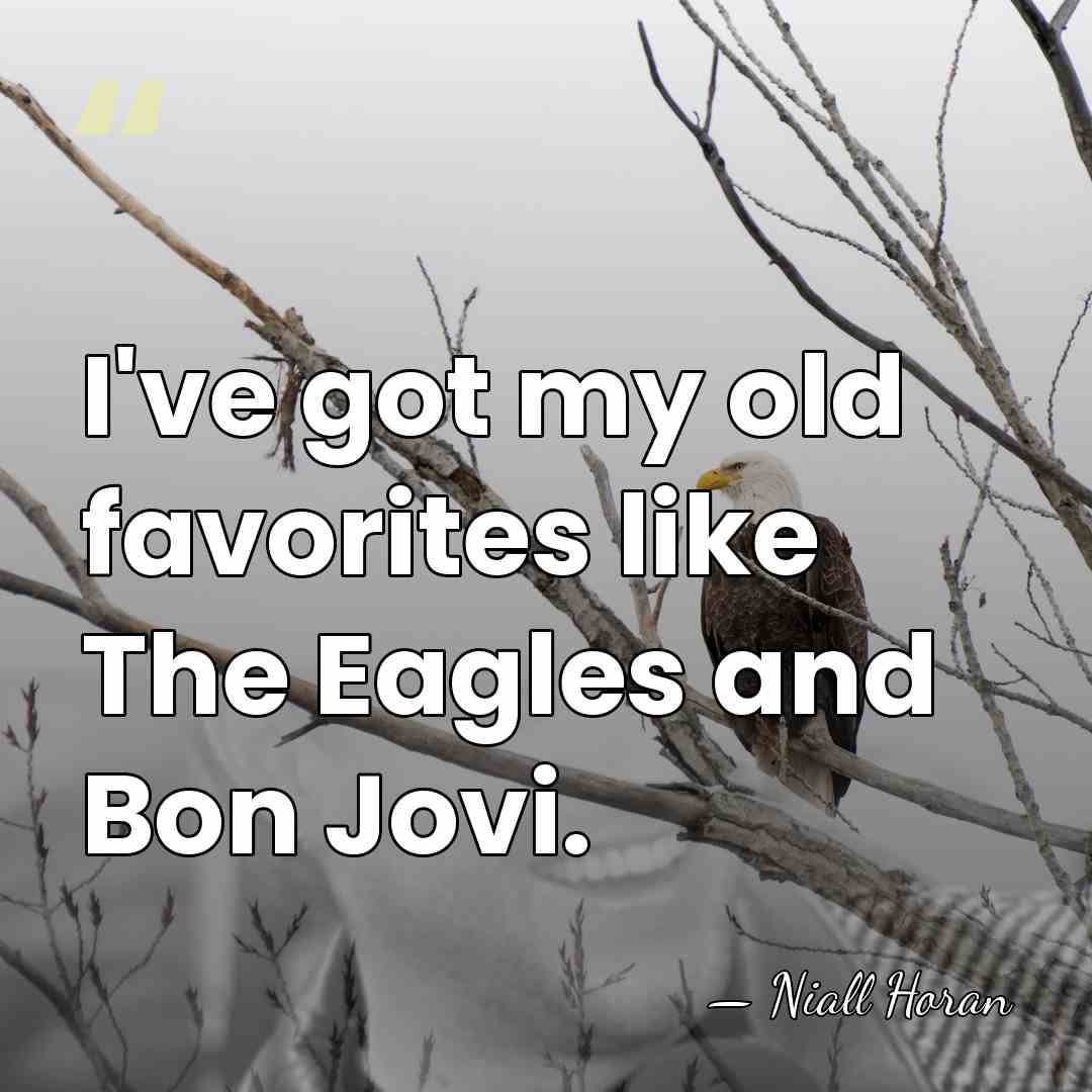 I've got my old favorites like The Eagles and Bon Jovi. - Niall Horan