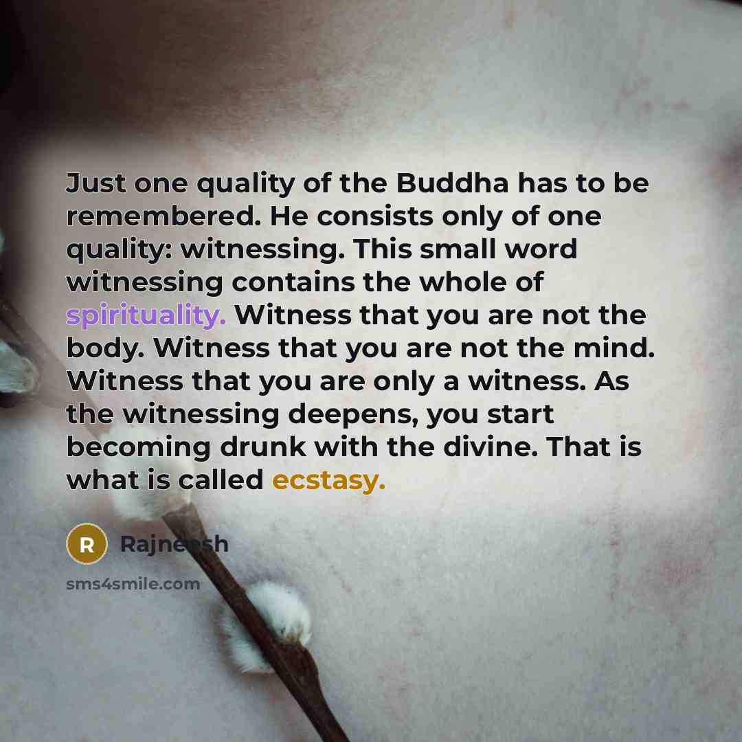 “Just one quality of the Buddha has to be remembered.…” quote by Rajneesh
