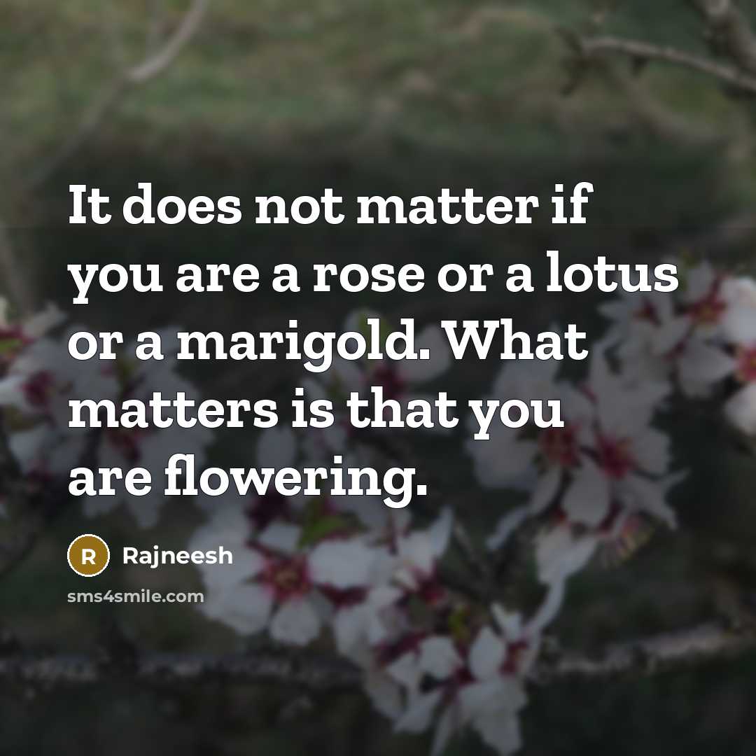 “It does not matter if you are a rose or…” quote by Rajneesh