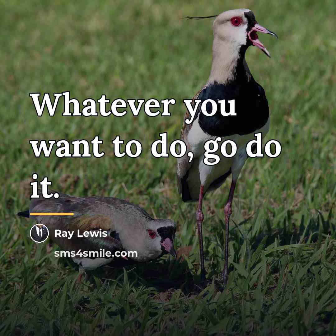 “Whatever you want to do, go do it.…” quote by Ray Lewis