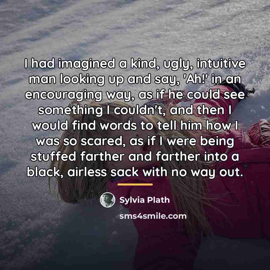 “I had imagined a kind, ugly, intuitive man looking up…” quote by Sylvia Plath