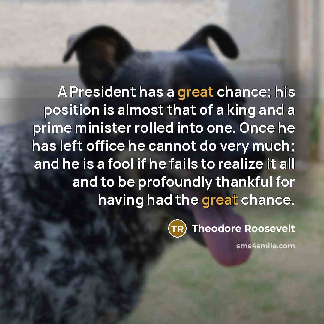 “A President has a great chance; his position is almost…” quote by Theodore Roosevelt