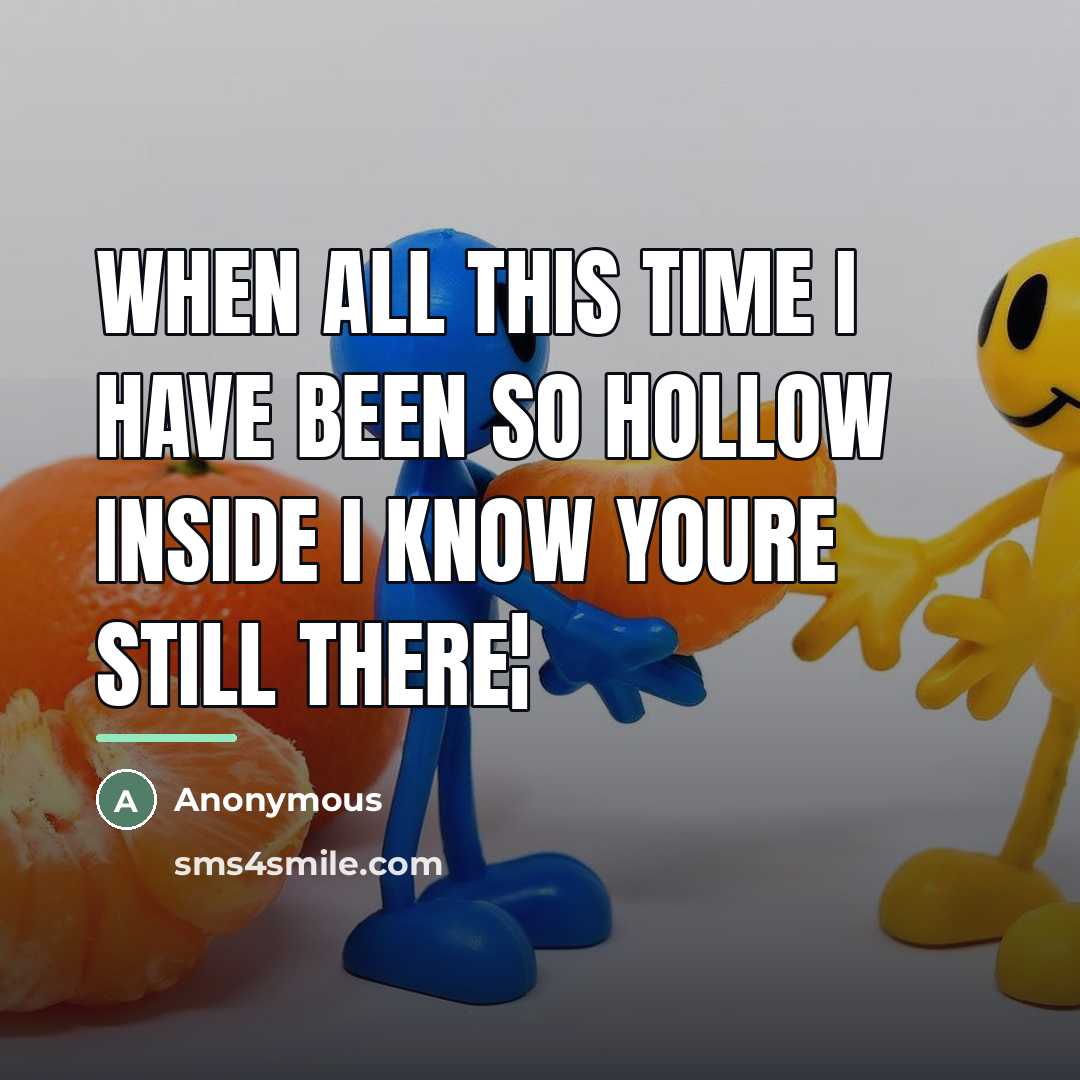 “When all this time I have been so hollow inside…” quote by Anonymous