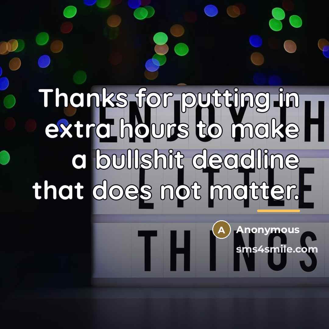 “Thanks for putting in extra hours to make a bullshit…” quote by Anonymous