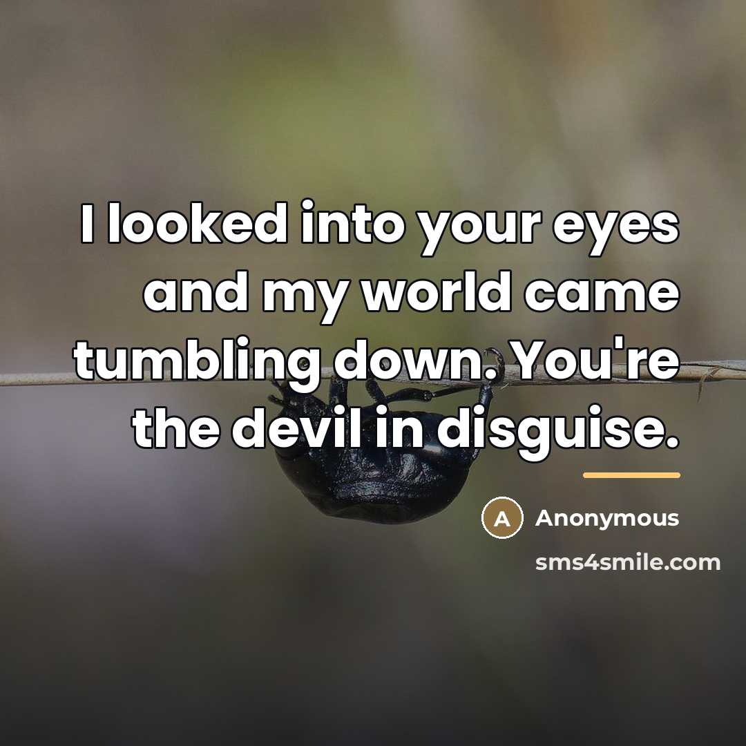 “I looked into your eyes and my world came tumbling…” quote by Anonymous