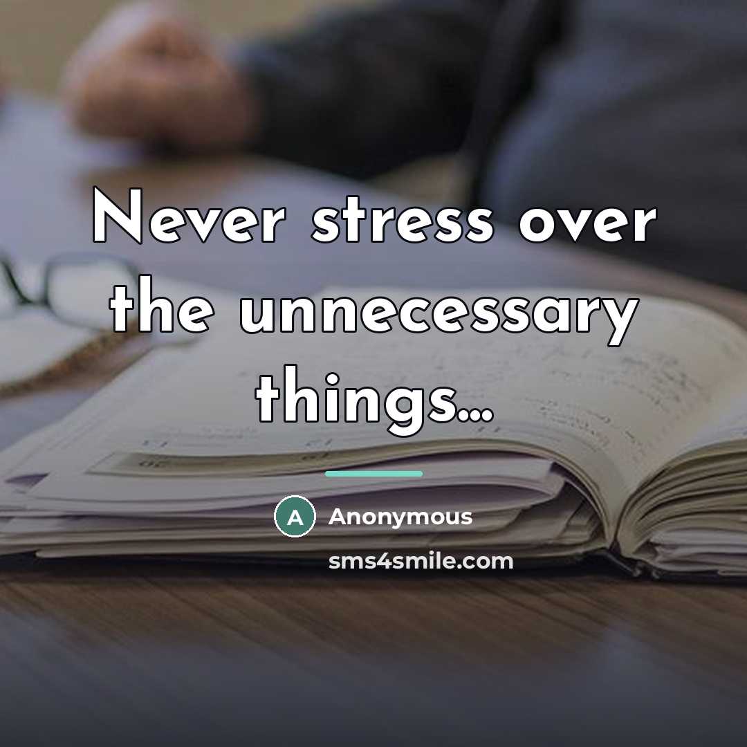 “Never stress over the unnecessary things...…” quote by Anonymous