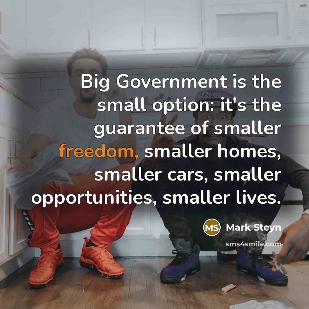 “Big Government is the small option: it's the guarantee of…” quote by Mark Steyn