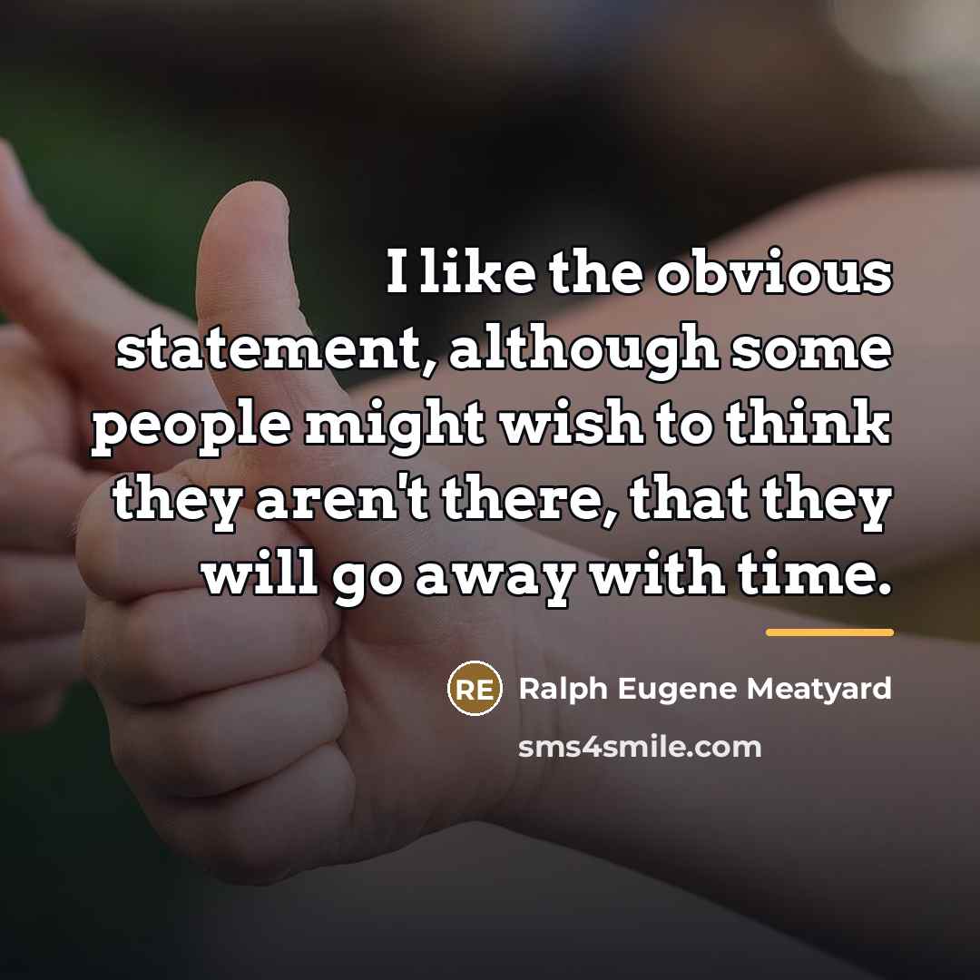 “I like the obvious statement, although some people might wish…” quote by Ralph Eugene Meatyard