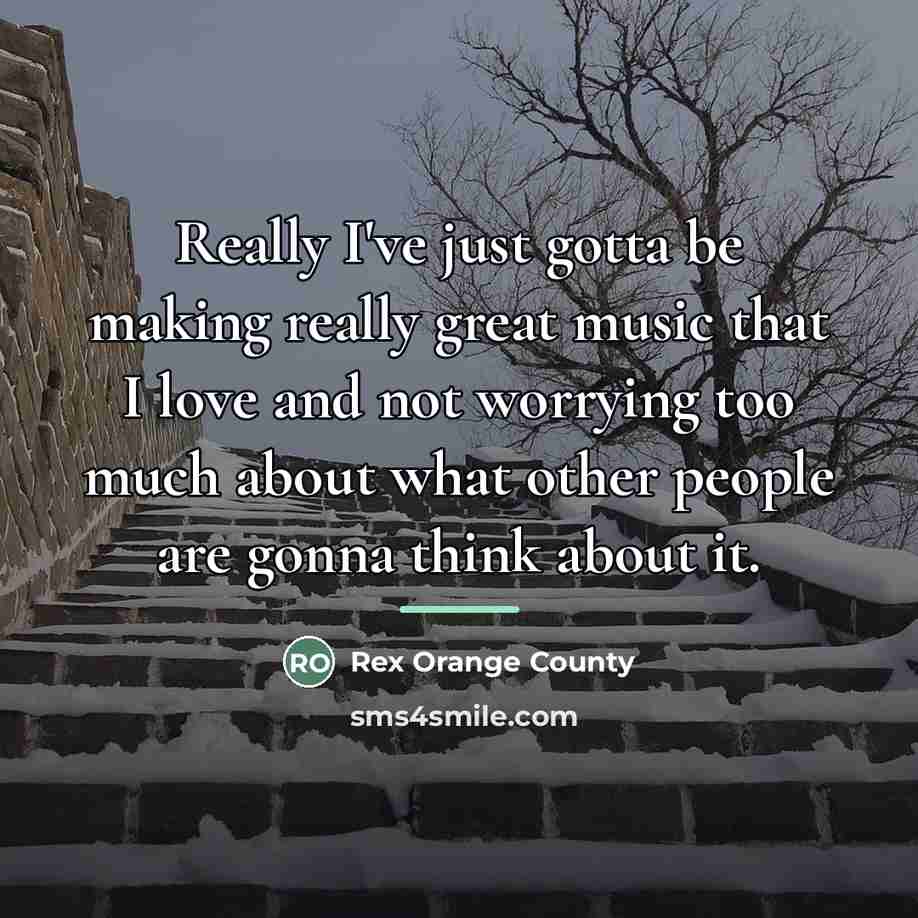 “Really I've just gotta be making really great music that…” quote by Rex Orange County