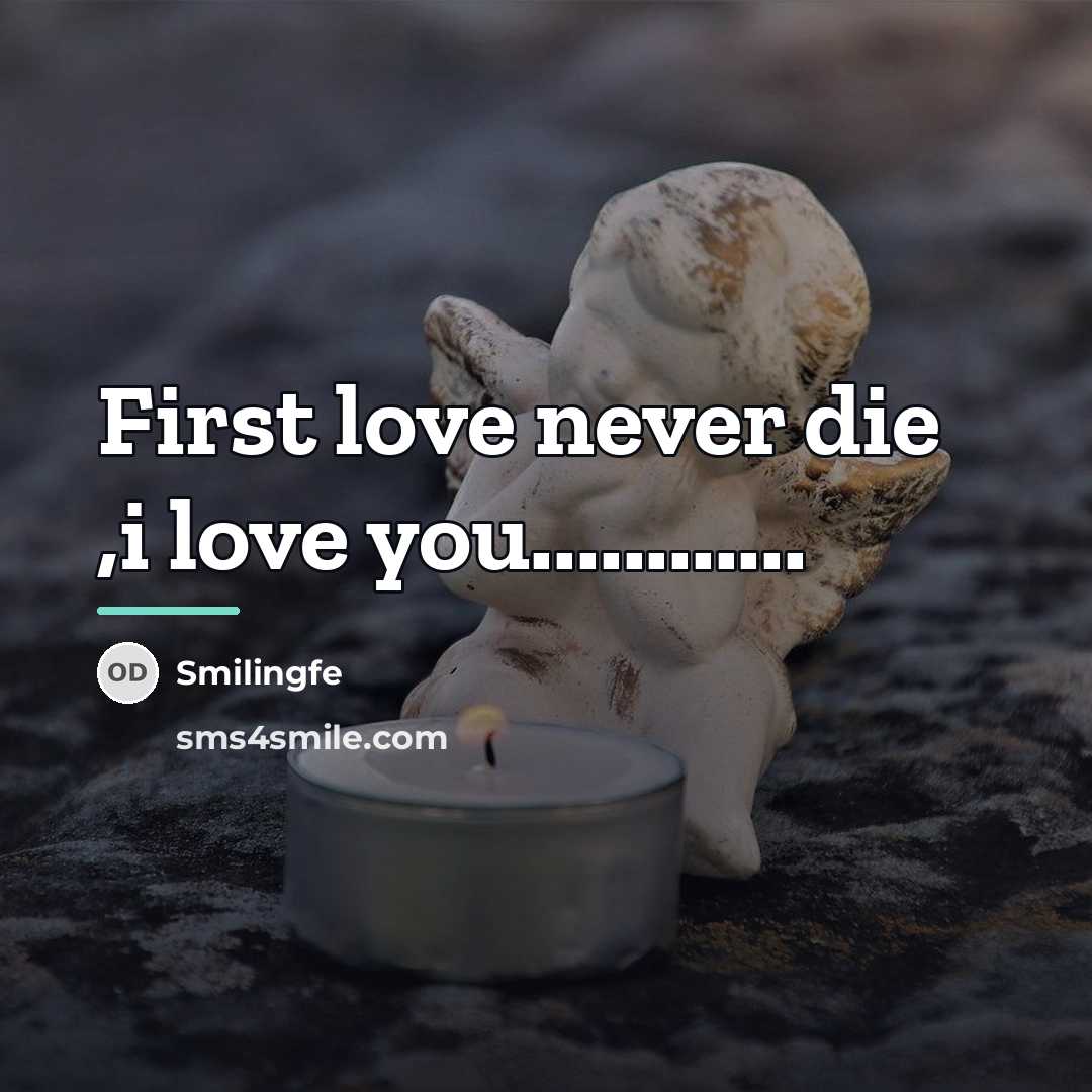 “First love never die ,i love you............…” quote by Smilingfe