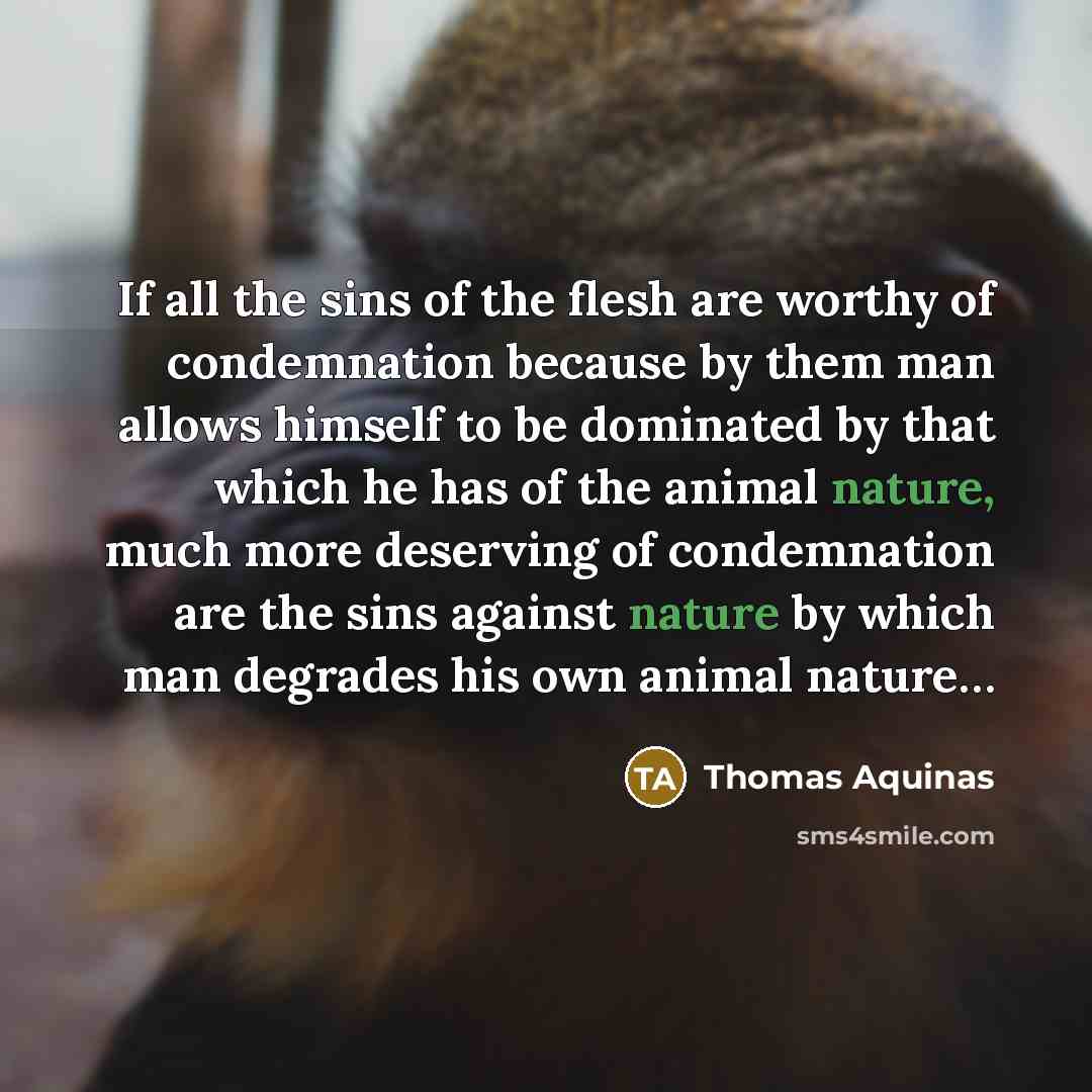 “If all the sins of the flesh are worthy of…” quote by Thomas Aquinas