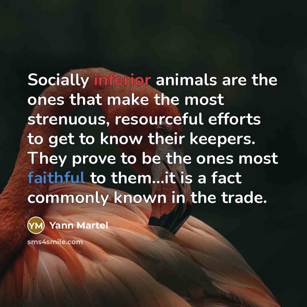 “Socially inferior animals are the ones that make the most…” quote by Yann Martel