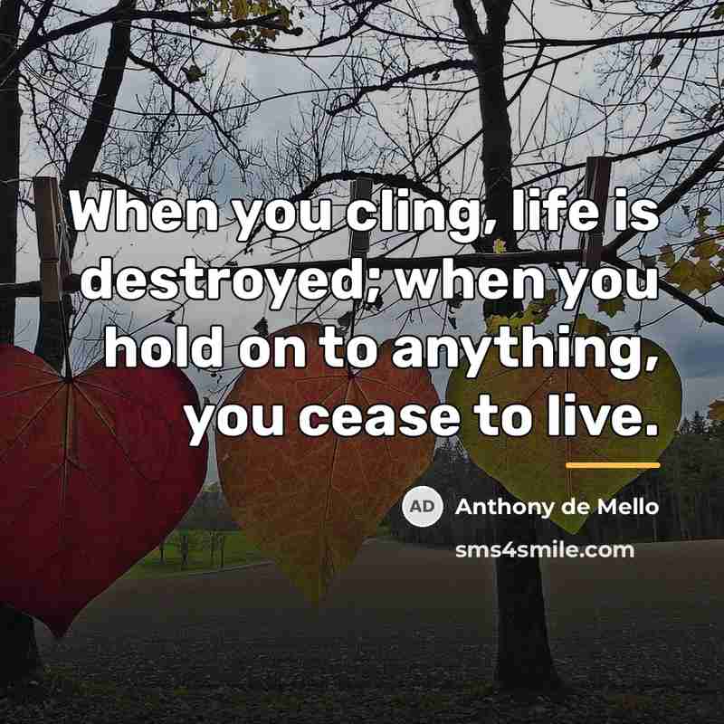 “When you cling, life is destroyed; when you hold on…” quote by Anthony de Mello