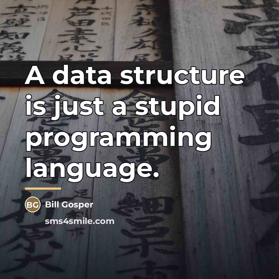“A data structure is just a stupid programming language.…” quote by Bill Gosper
