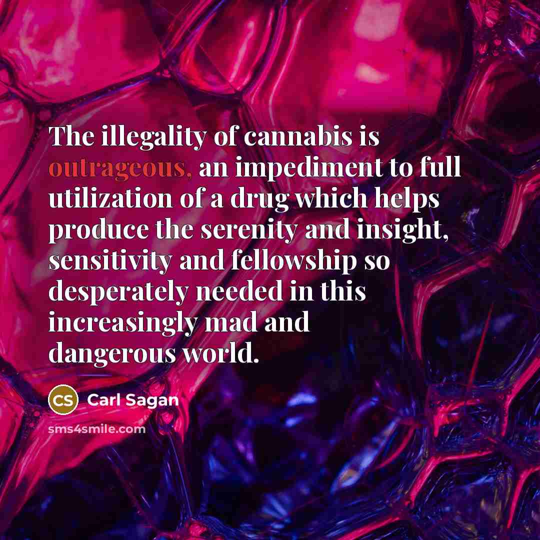 “The illegality of cannabis is outrageous, an impediment to full…” quote by Carl Sagan