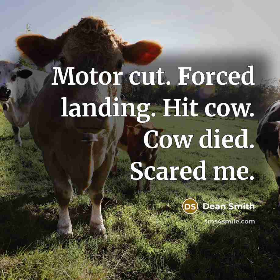 “Motor cut. Forced landing. Hit cow. Cow died. Scared me.…” quote by Dean Smith