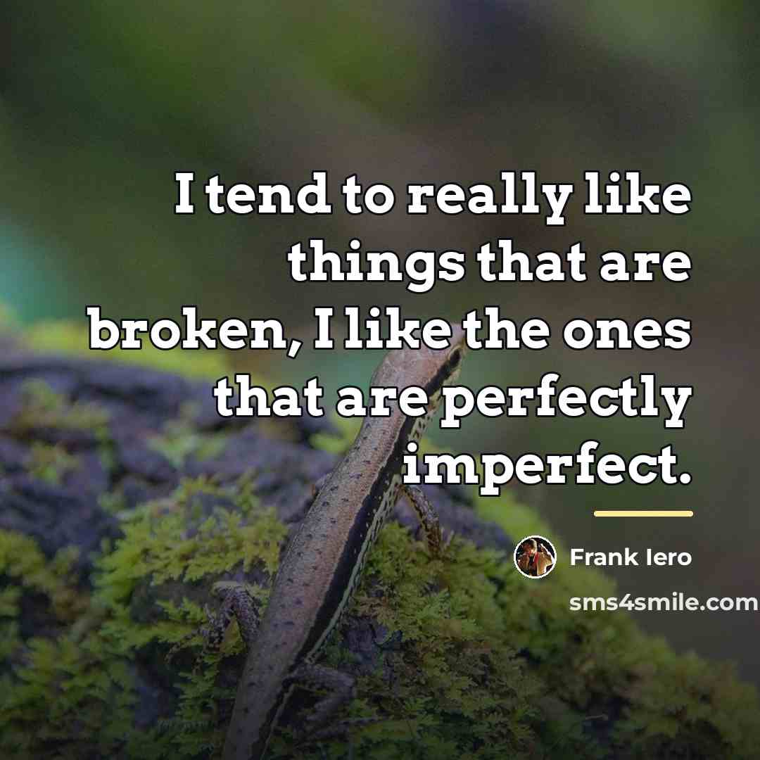 “I tend to really like things that are broken, I…” quote by Frank Iero