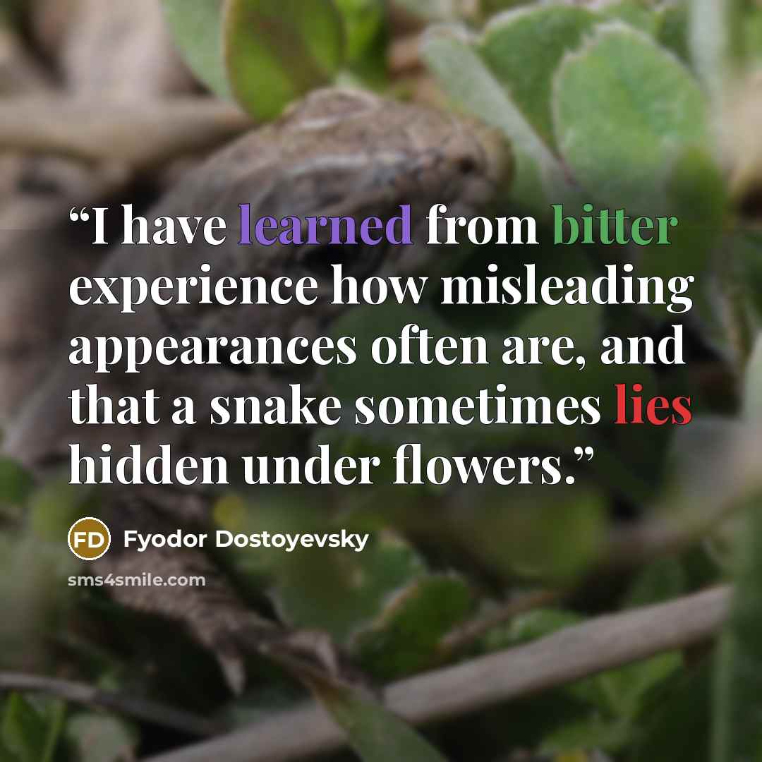 “I have learned from bitter experience how misleading appearances often are, and that a snake sometimes lies hidden under flowers.” quote by Fyodor Dostoyevsky