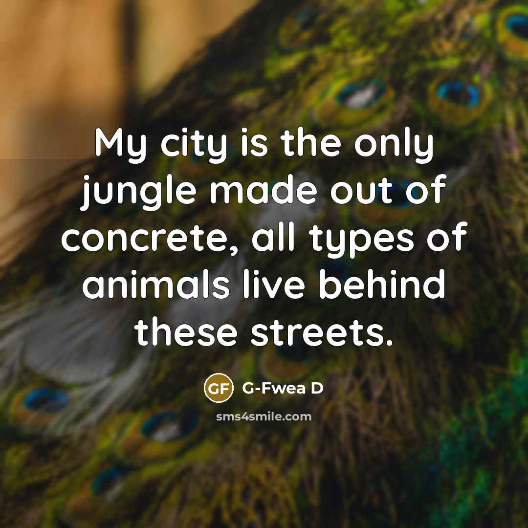 “My city is the only jungle made out of concrete,…” quote by G-Fwea D