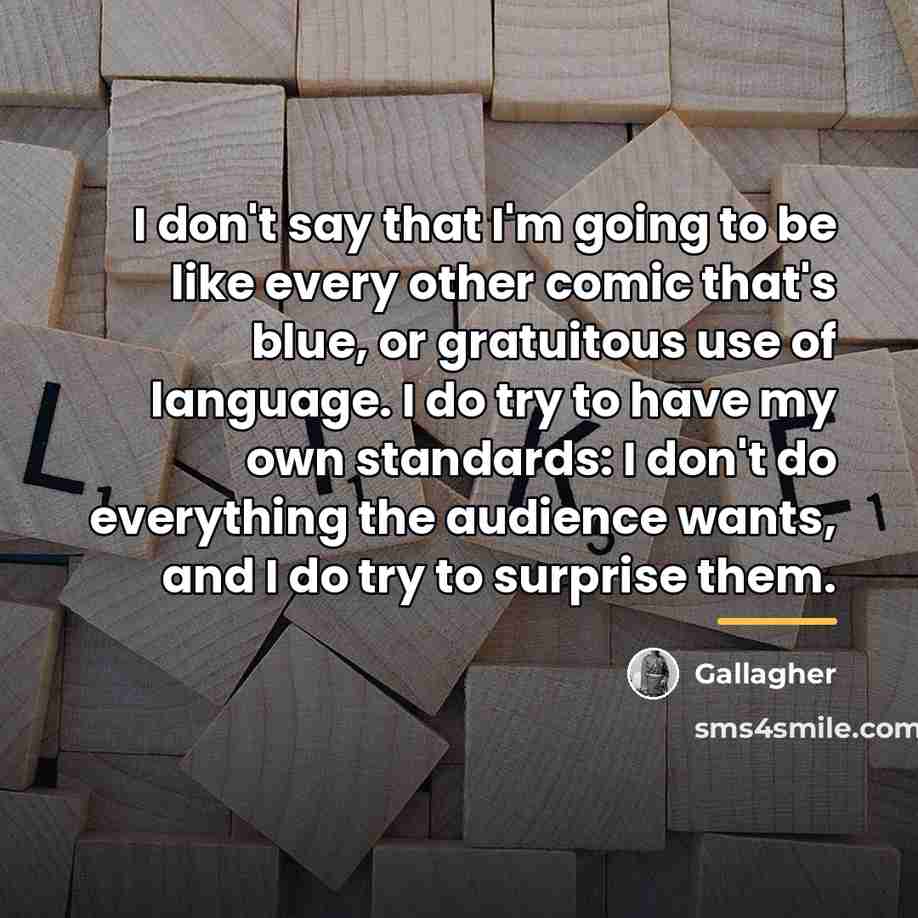 “I don't say that I'm going to be like every…” quote by Gallagher