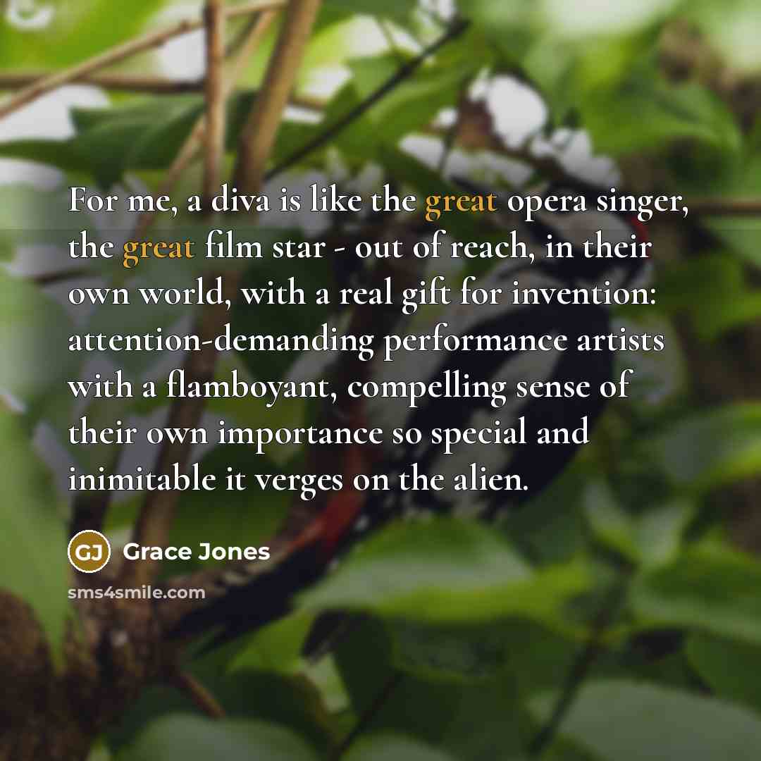 “For me, a diva is like the great opera singer,…” quote by Grace Jones