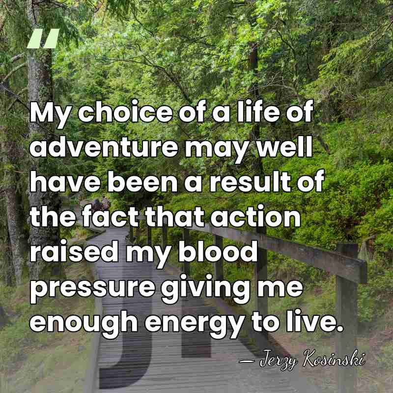 My choice of a life of adventure may well have been a&hellip; - Jerzy Kosinski